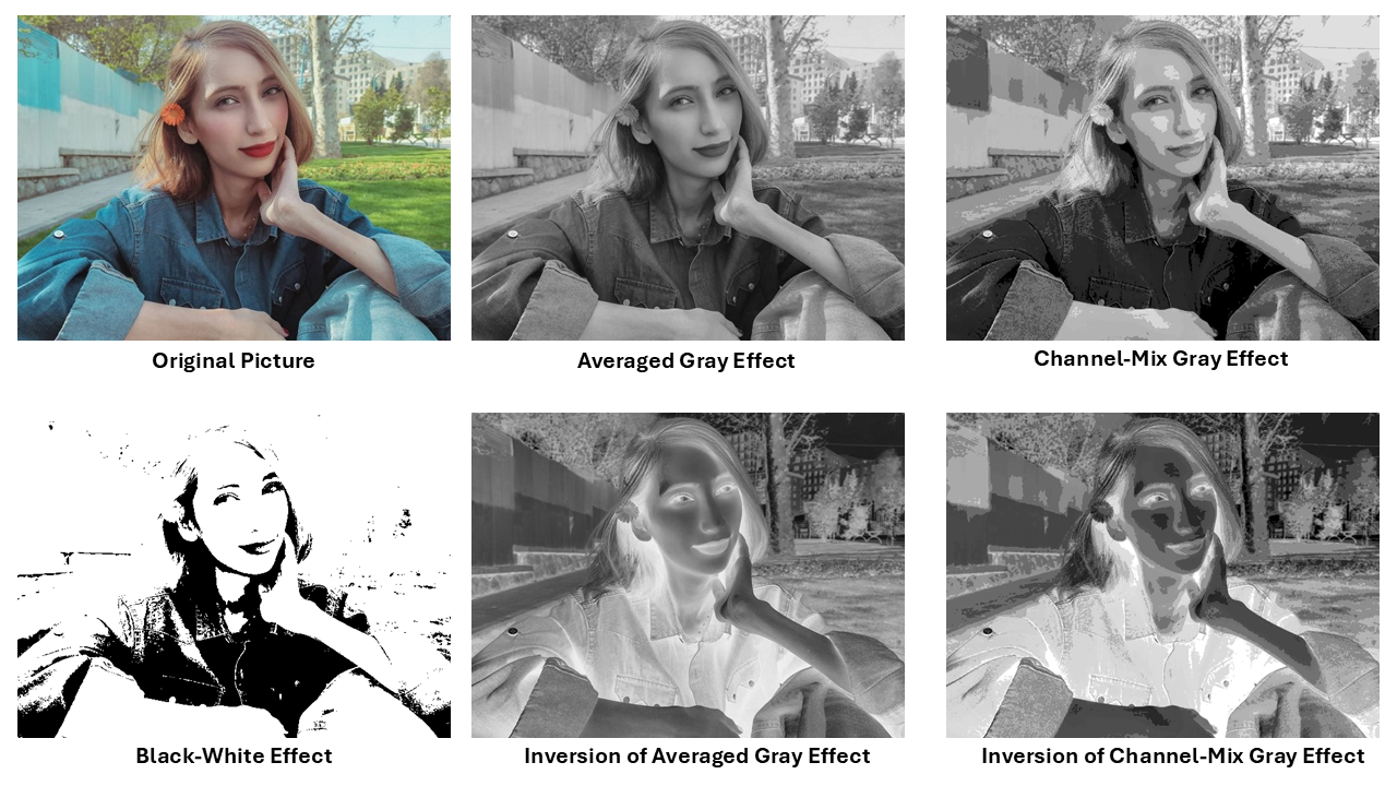 Black-white and Grayscale Effects